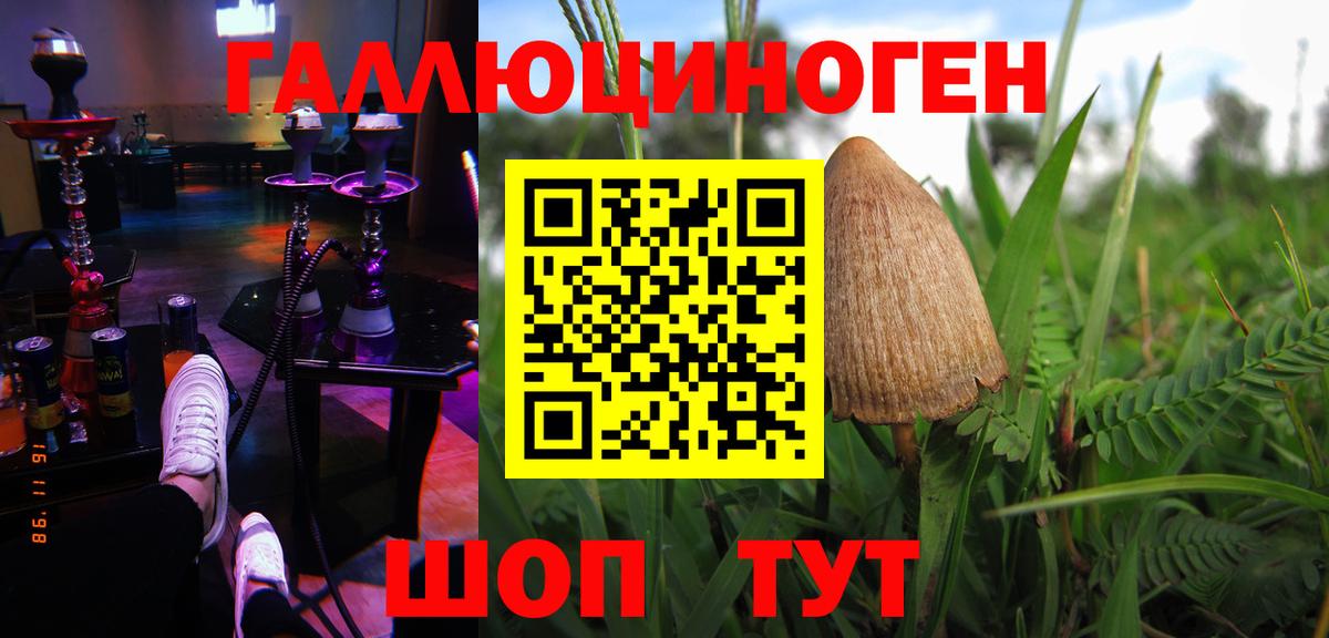 Галлюциногенные грибы Cubensis Менделеевск