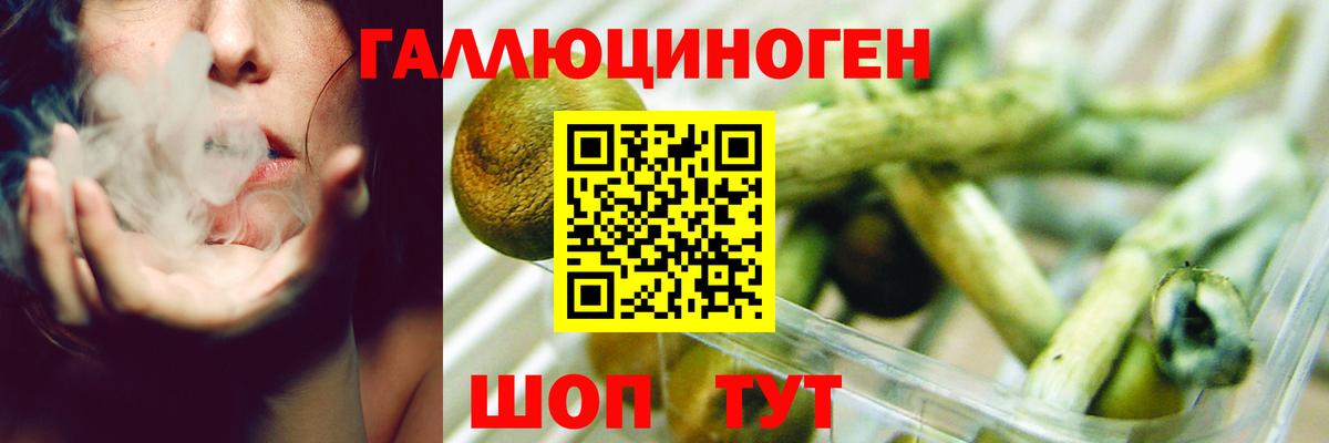Галлюциногенные грибы GOLDEN TEACHER  Вход с VPN  Псилоцибиновые грибы Psilocybe  Менделеевск 